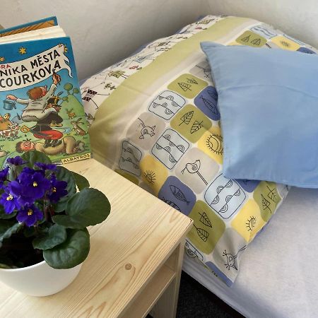 Penzion Slunecnice Dvůr Králové nad Labem 외부 사진