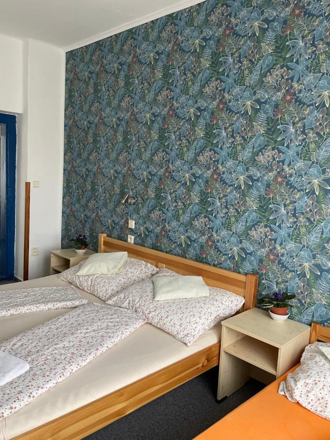 Penzion Slunecnice Dvůr Králové nad Labem 외부 사진