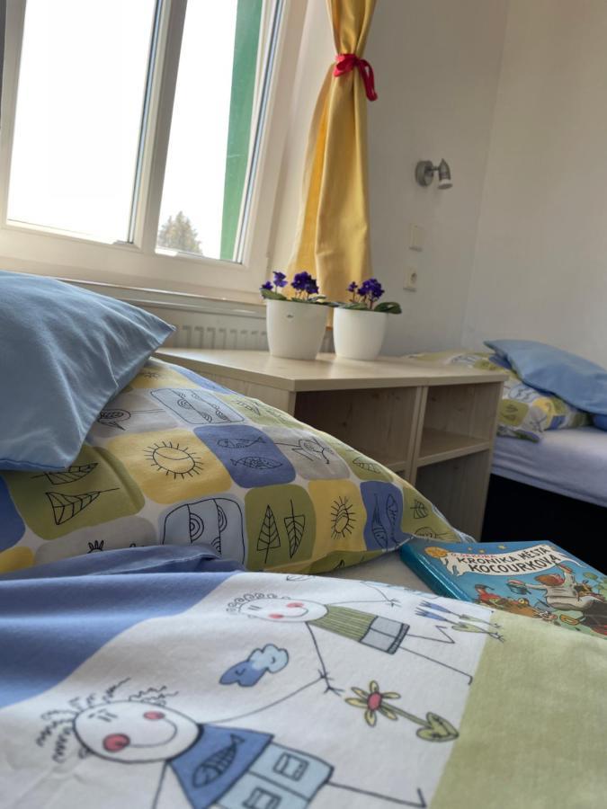 Penzion Slunecnice Dvůr Králové nad Labem 외부 사진