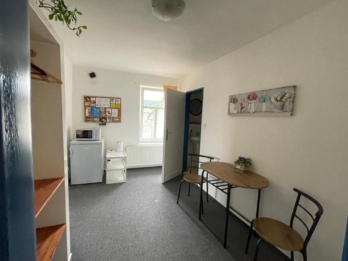 Penzion Slunecnice Dvůr Králové nad Labem 외부 사진